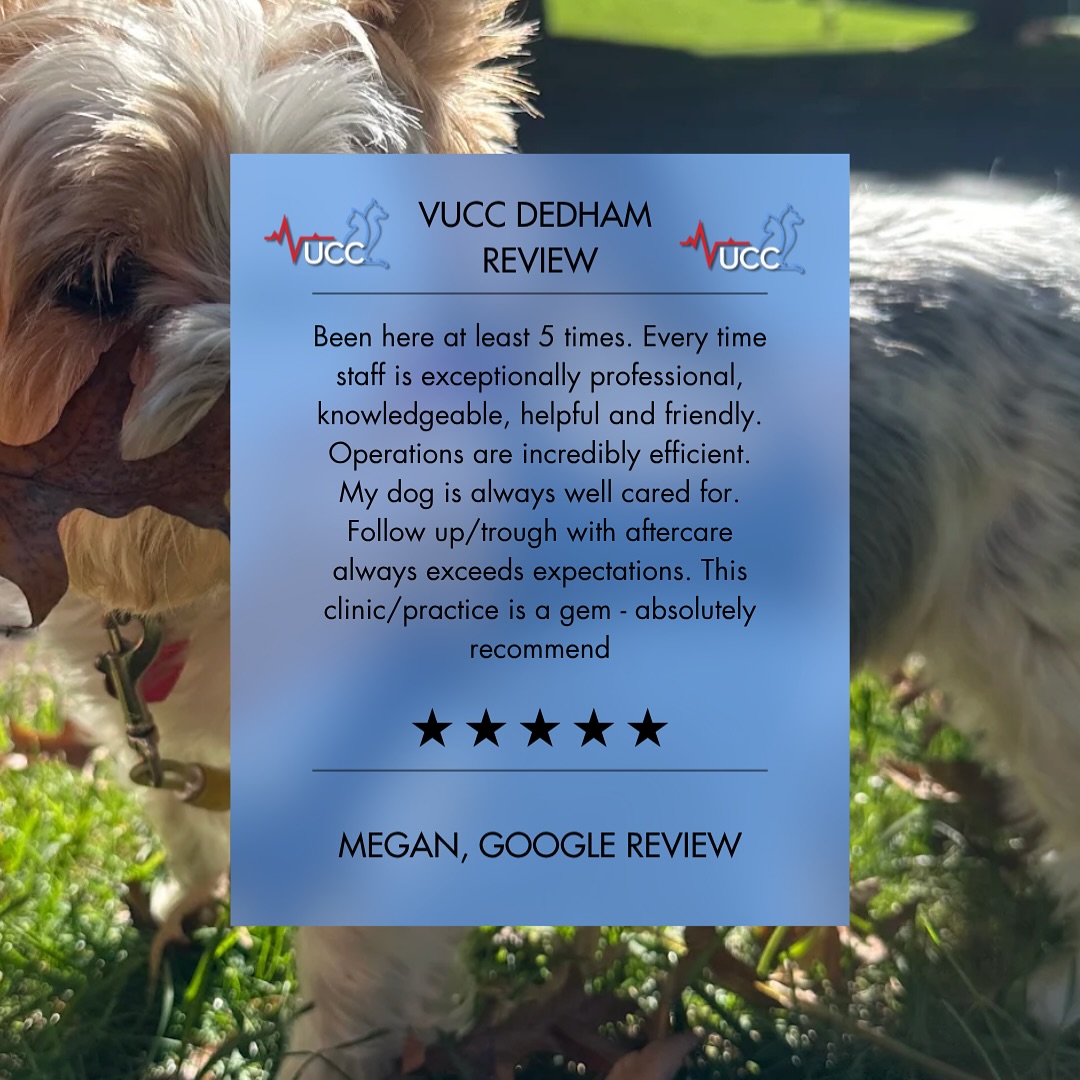 Veterinary - Read one of our latest reviews from VUCC Dedham! We are ...