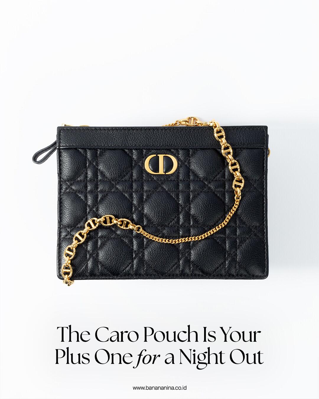 HERMES Cartier CHANEL DIOR 他ショッパー Think of it as the Caro in a smaller package! ✨ #DiorCaroPouch