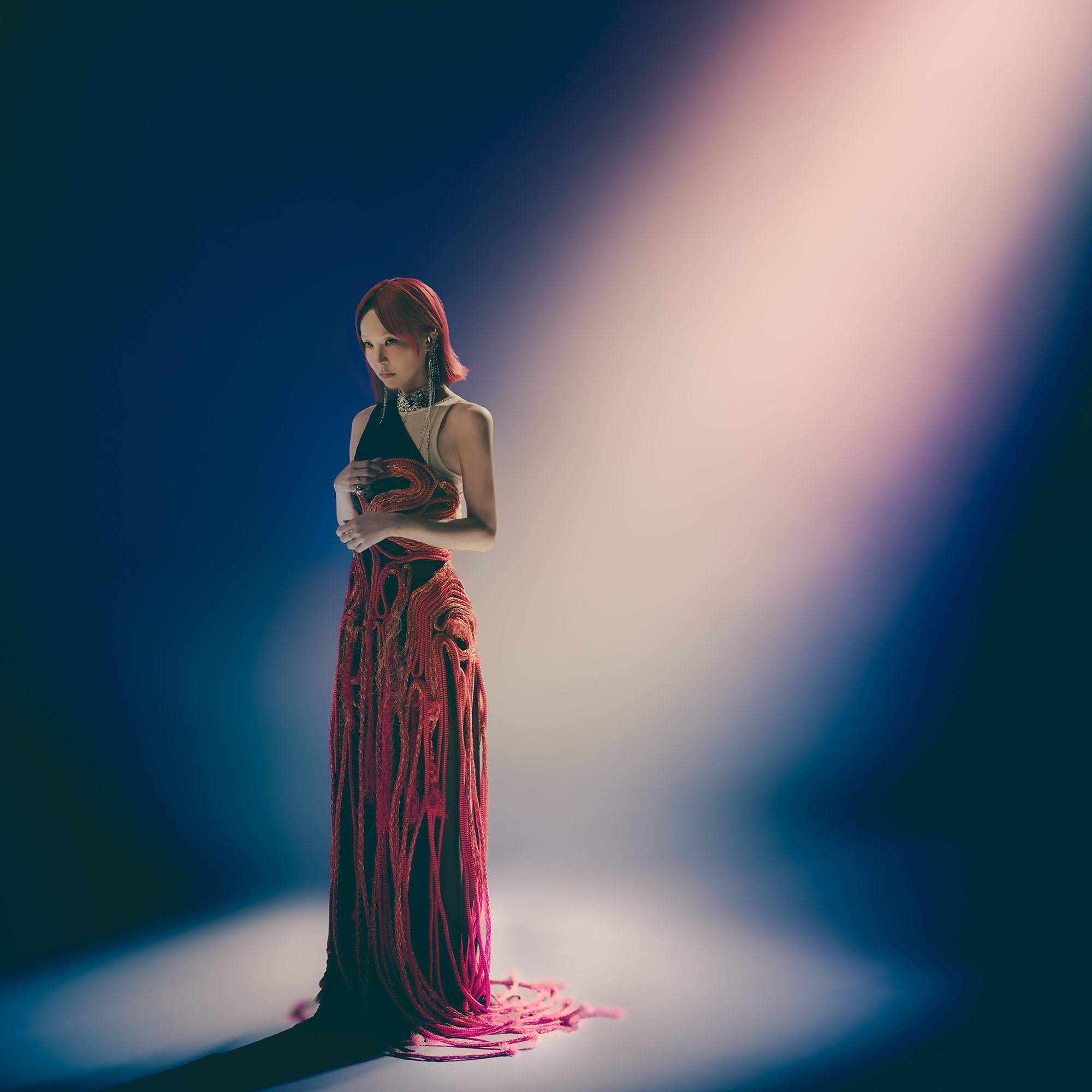 LiSA - LiSA updated her profile picture.