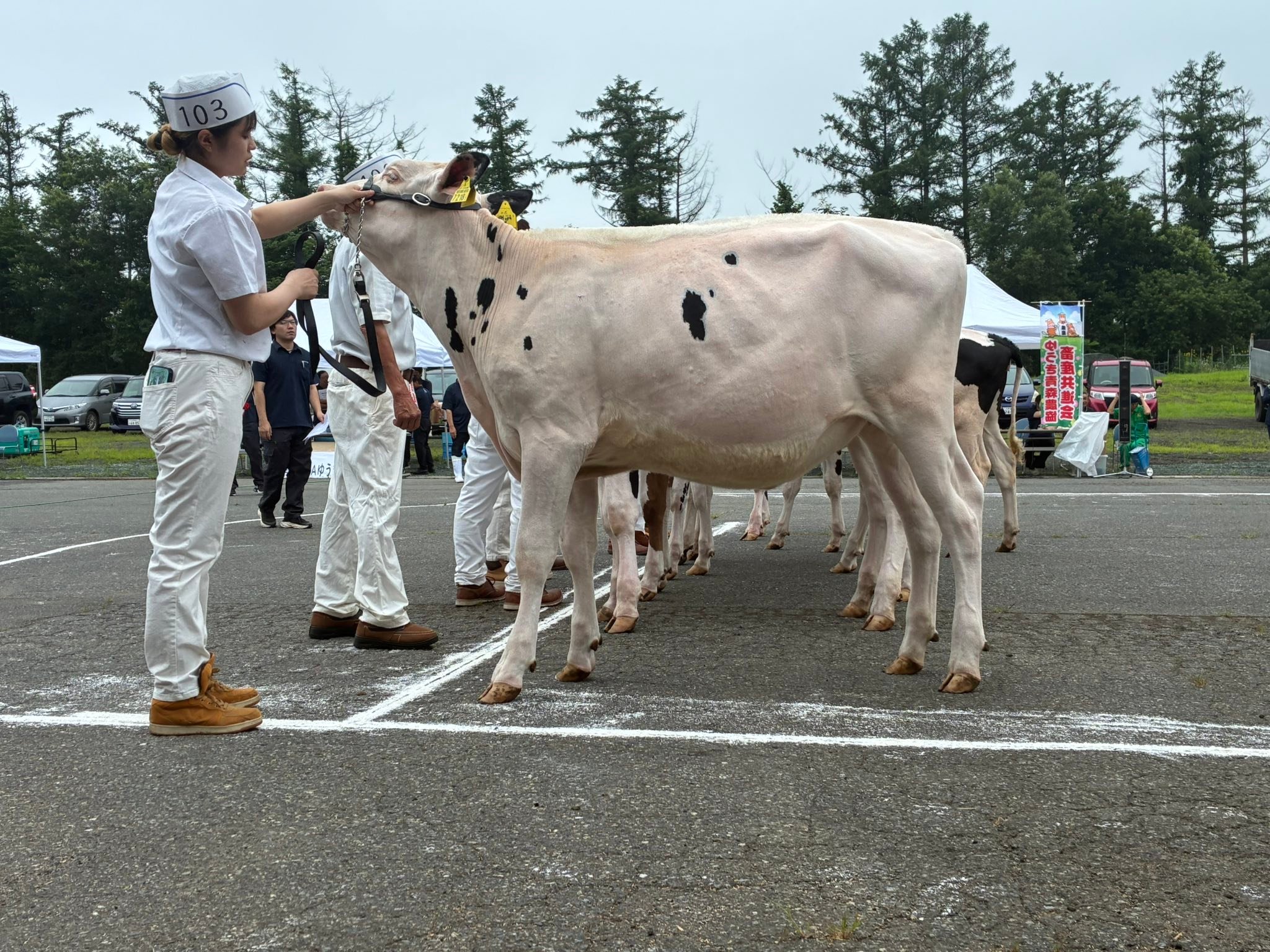 プランニング中商品のご紹介】 野澤組には畜産部 だけでなく、 繊維部