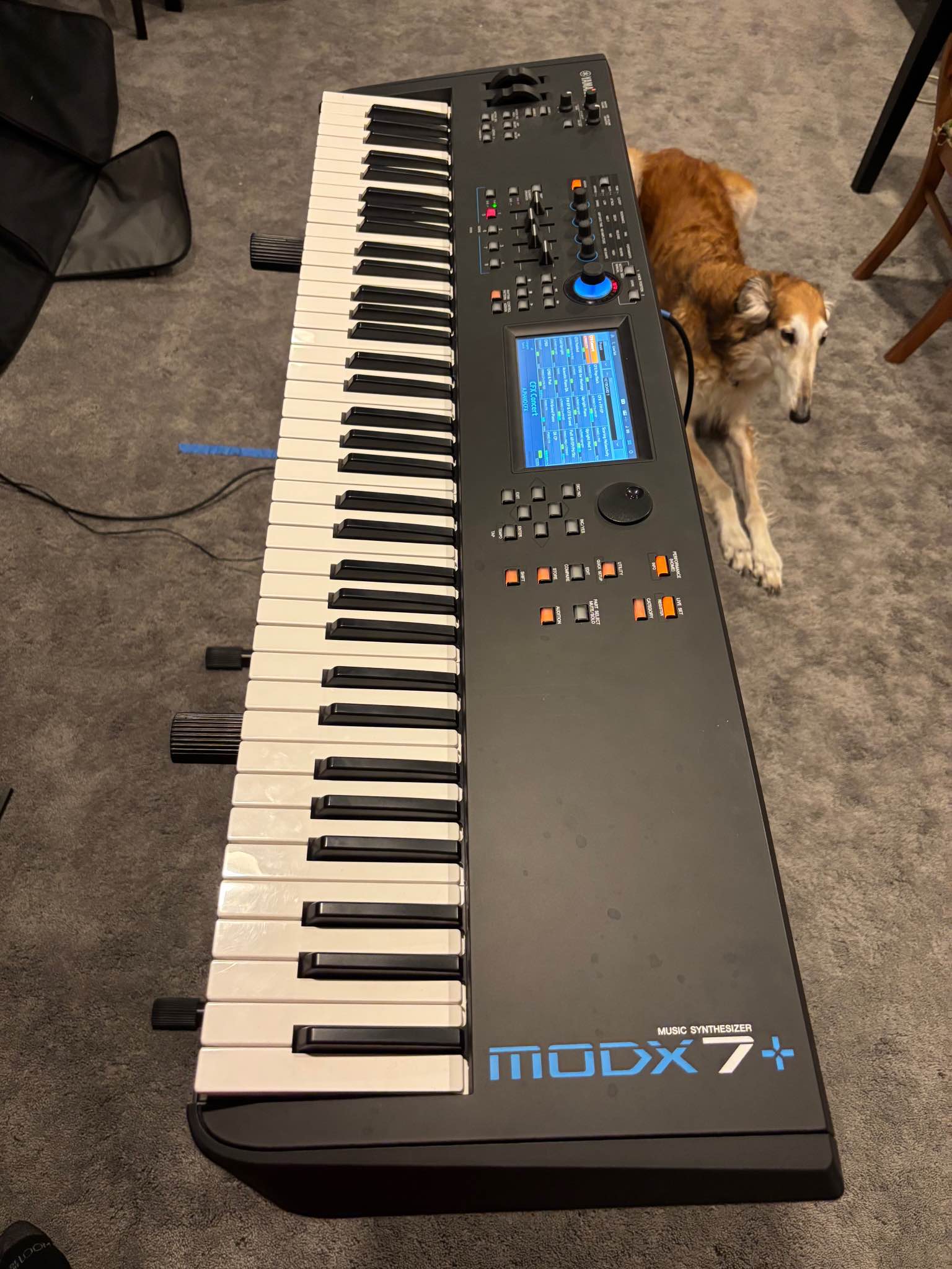 Yamaha MODX7+ Synthesizer Keyboard - 76 Key with Case - Electronic ...