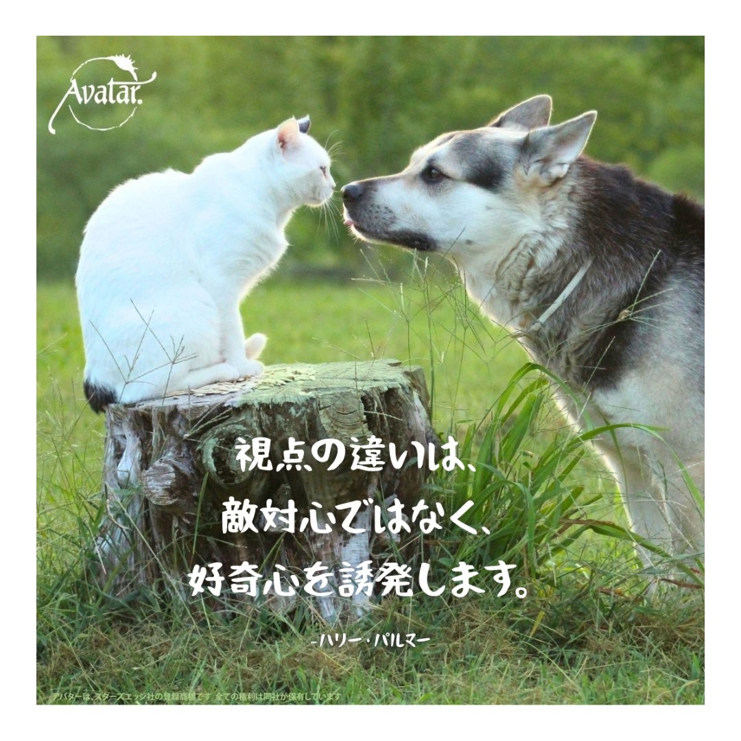 アバターコース JAPAN (@avatarjapan) • Facebook