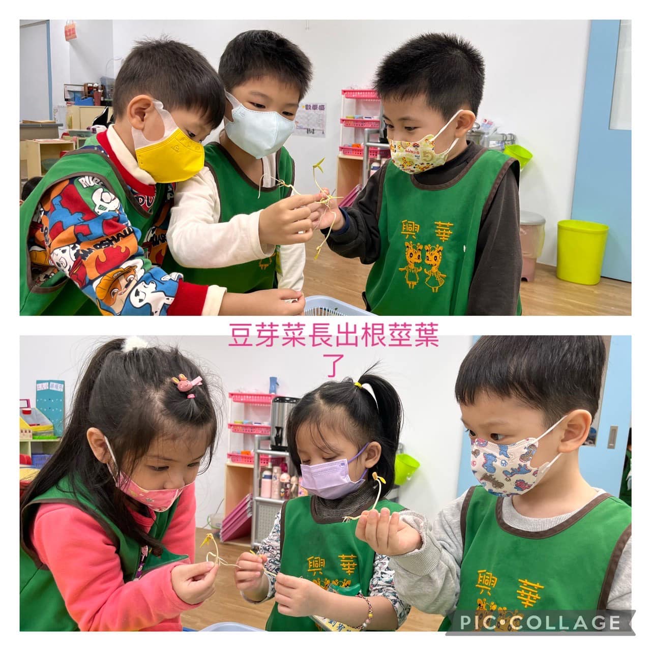 蘆洲區私立興華幼兒園