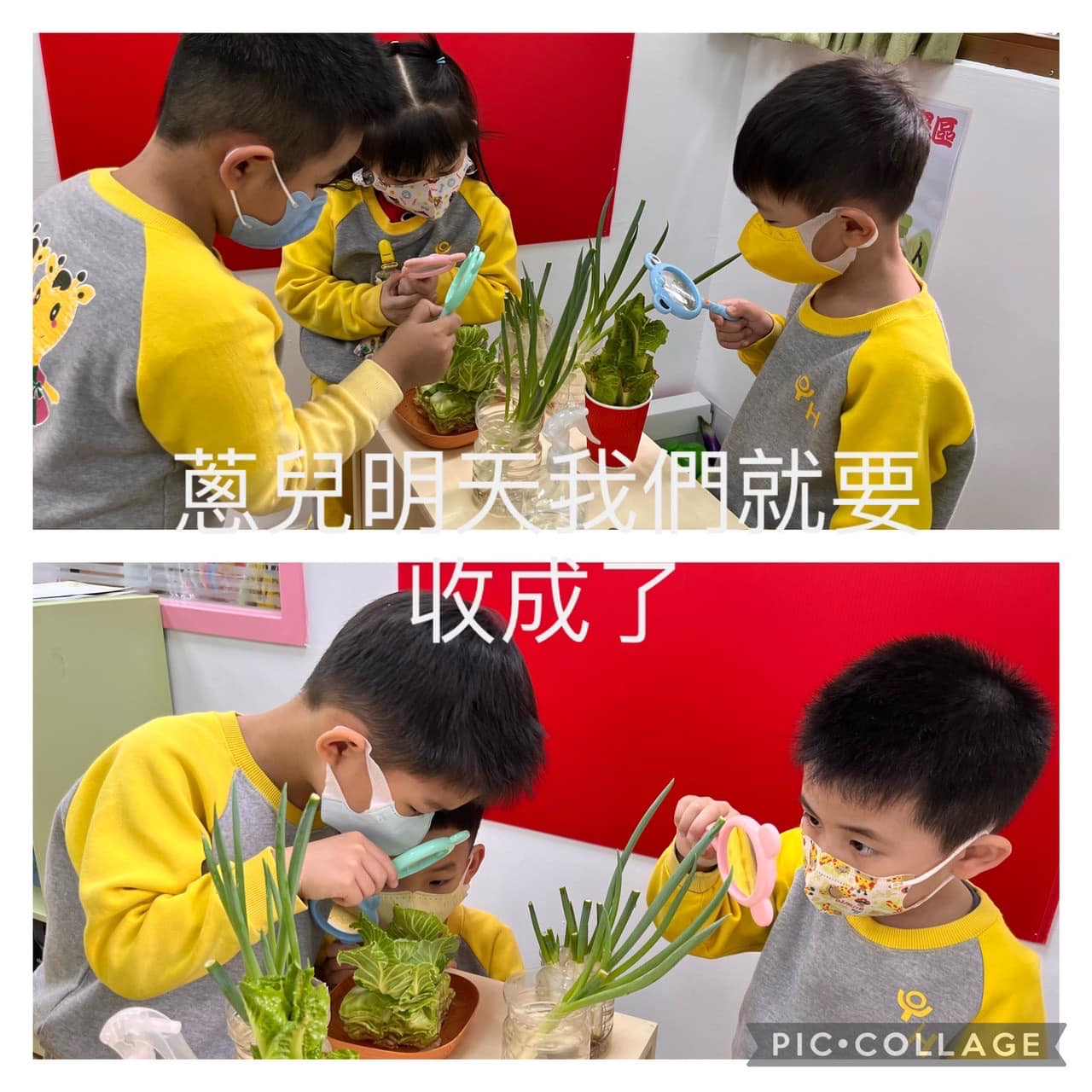 蘆洲區私立興華幼兒園