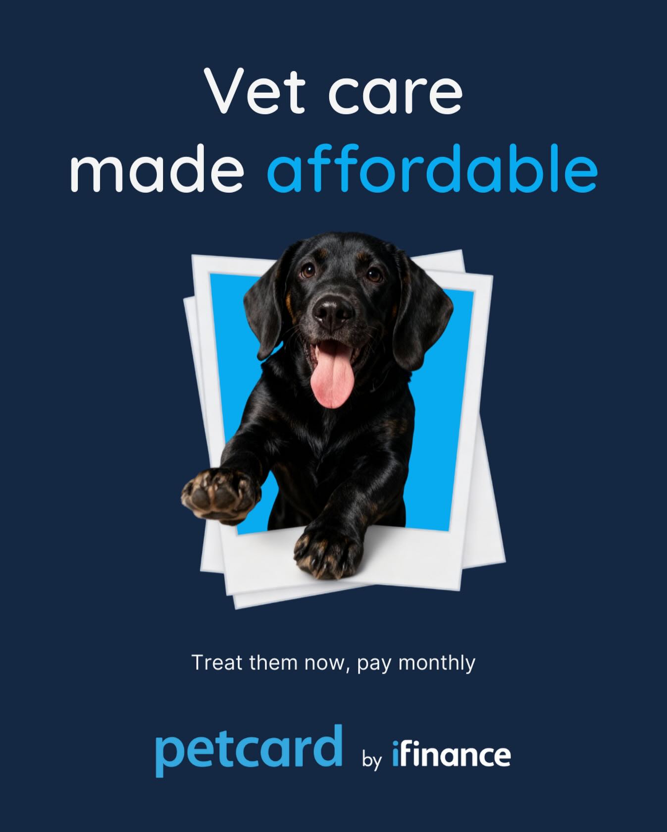 iFinance Canada - 🎄 This holiday season, caring for your... | Facebook