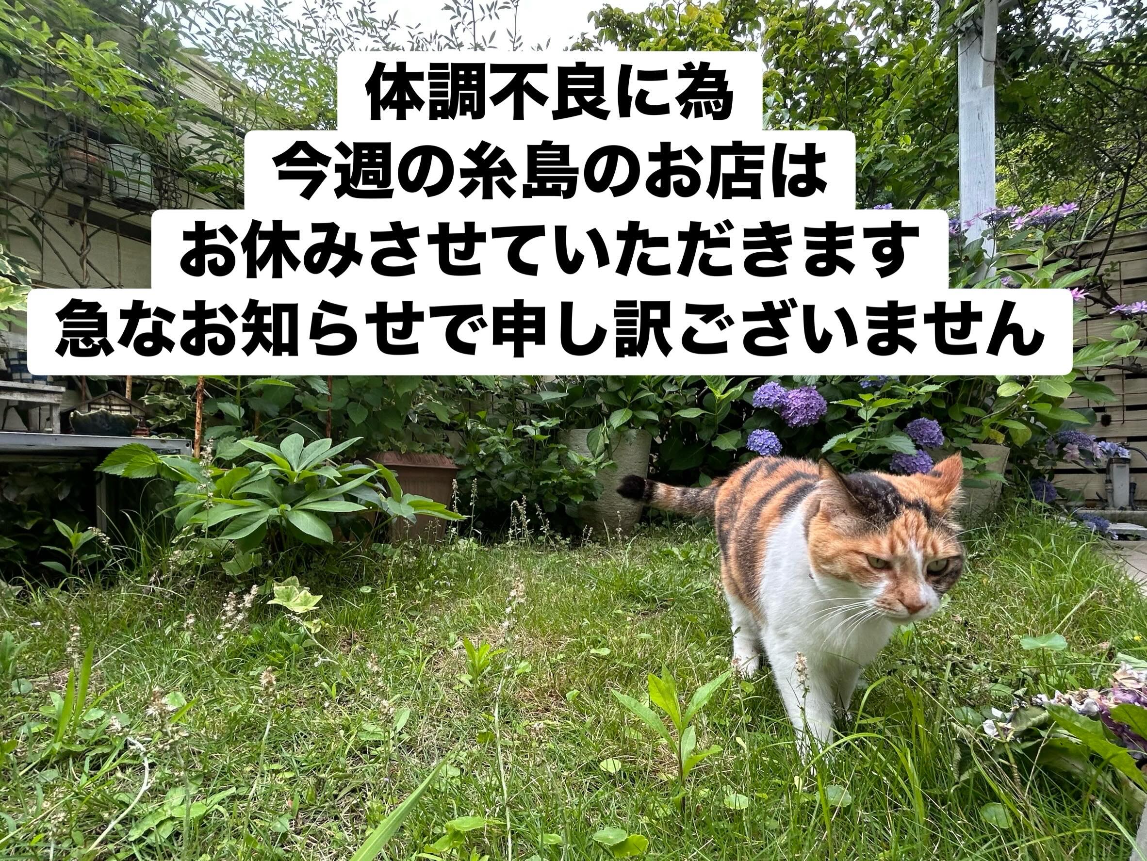 のび工房 | Itoshima-shi Fukuoka