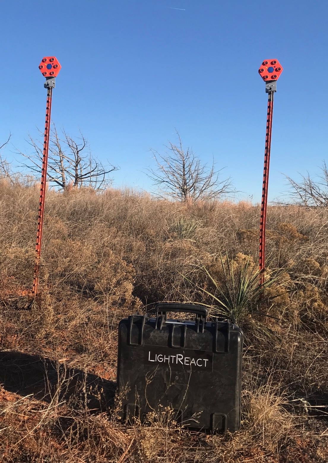 LightReact