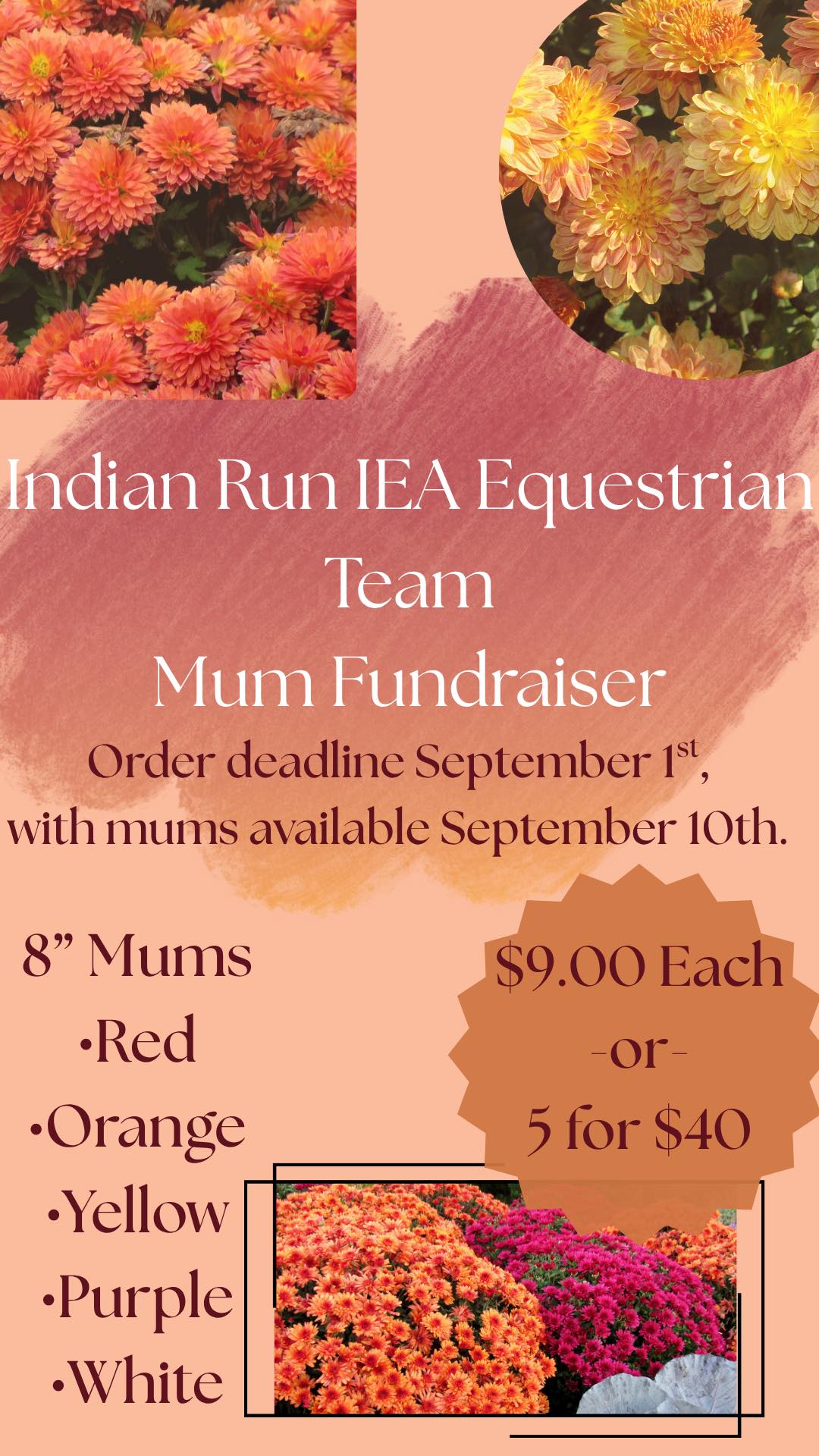 Indian Run Stable | Canfield OH
