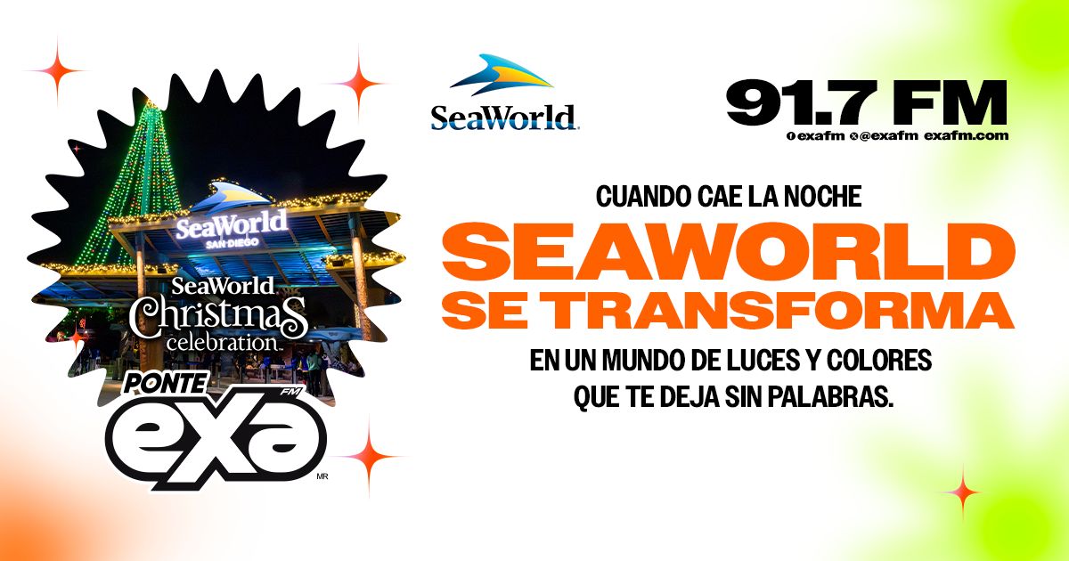 EXA - ️🎁 Cada rincón de SeaWorld se llena de espíritu navideño y ...