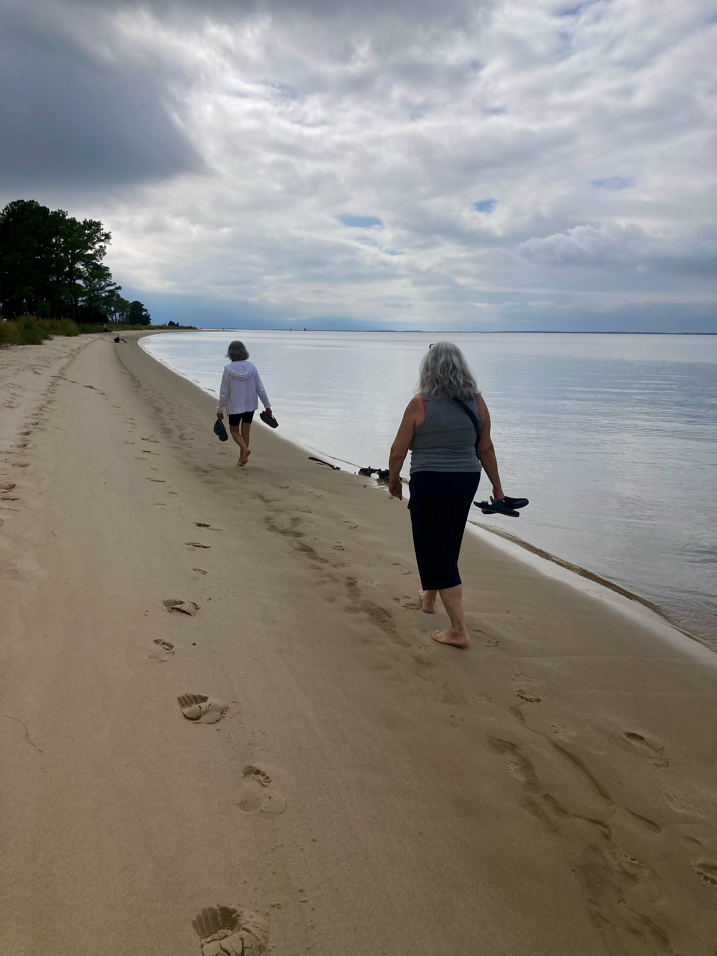 Nanticoke outing, Roaring Point Park.... - Yoga by Fran Gallo | Facebook