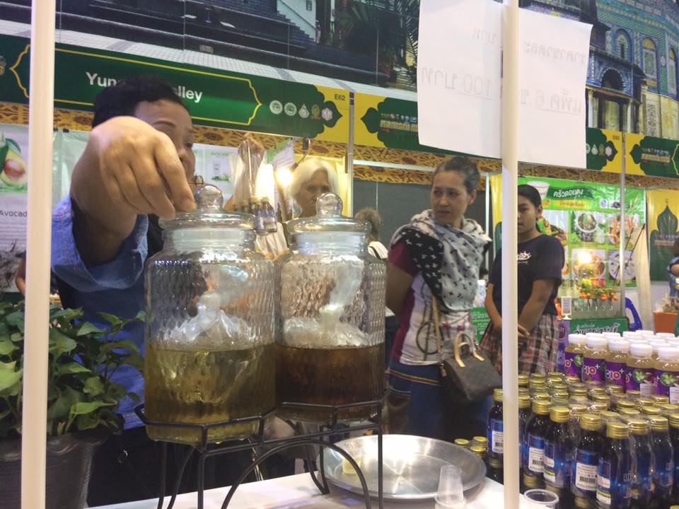 งานอันซีน ลานา เชียงใหม่... - Apipon food and beverages | Facebook