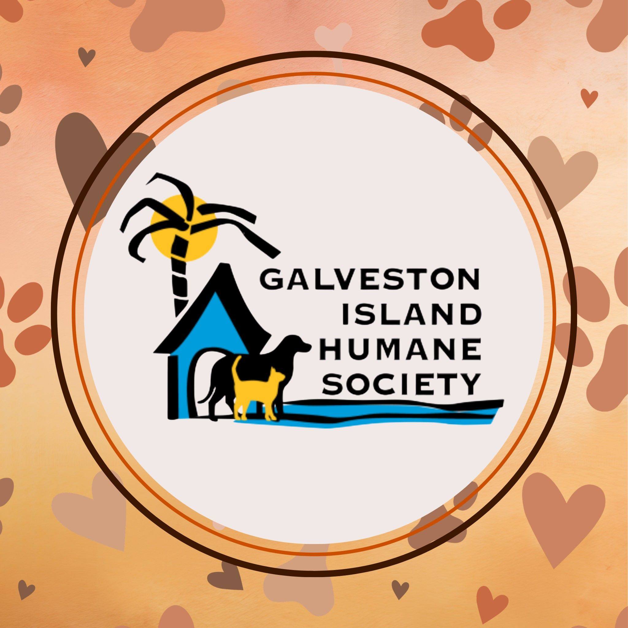 And then there were... - Galveston Island Humane Society | Facebook