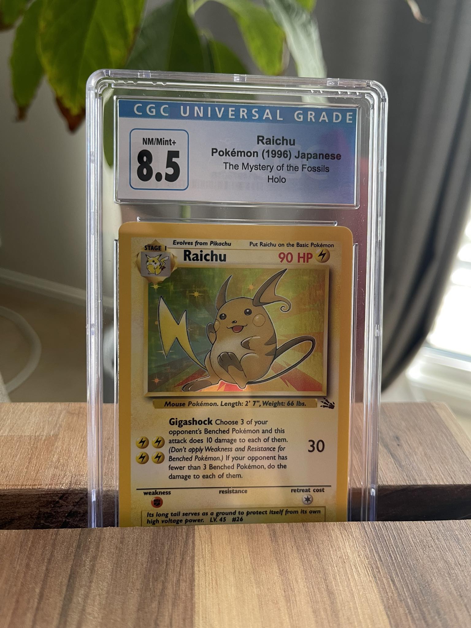 Why no error label on misprinted card?