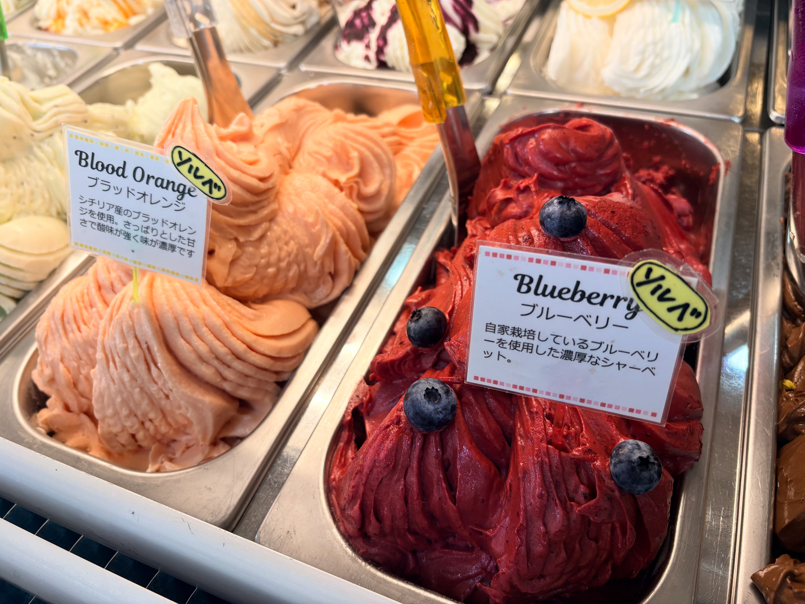 🍓6月20日のいちご狩り🍓 本日入園人数の制限と、お持ち帰り量の制限を
