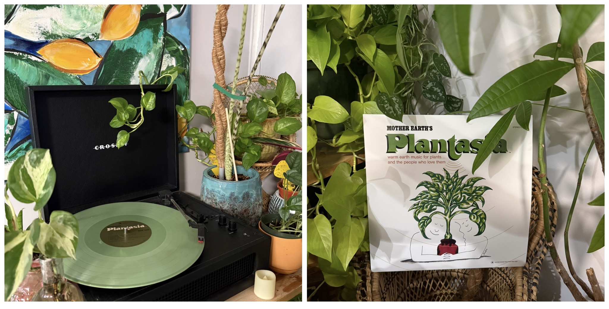 Mort Garson's Mother Earth's Plantasia Reissued on Eco-Friendly LP