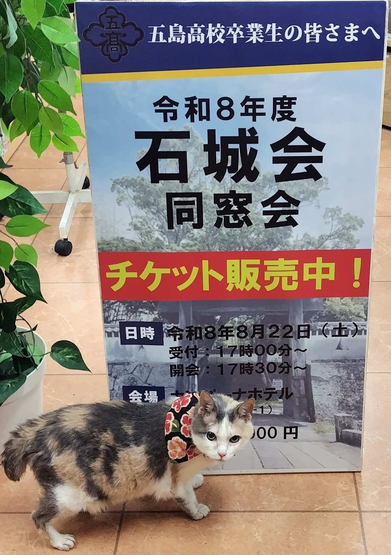 令和8年度石城会同窓会チケット販売のお知らせ】 当店にて、8月22 日
