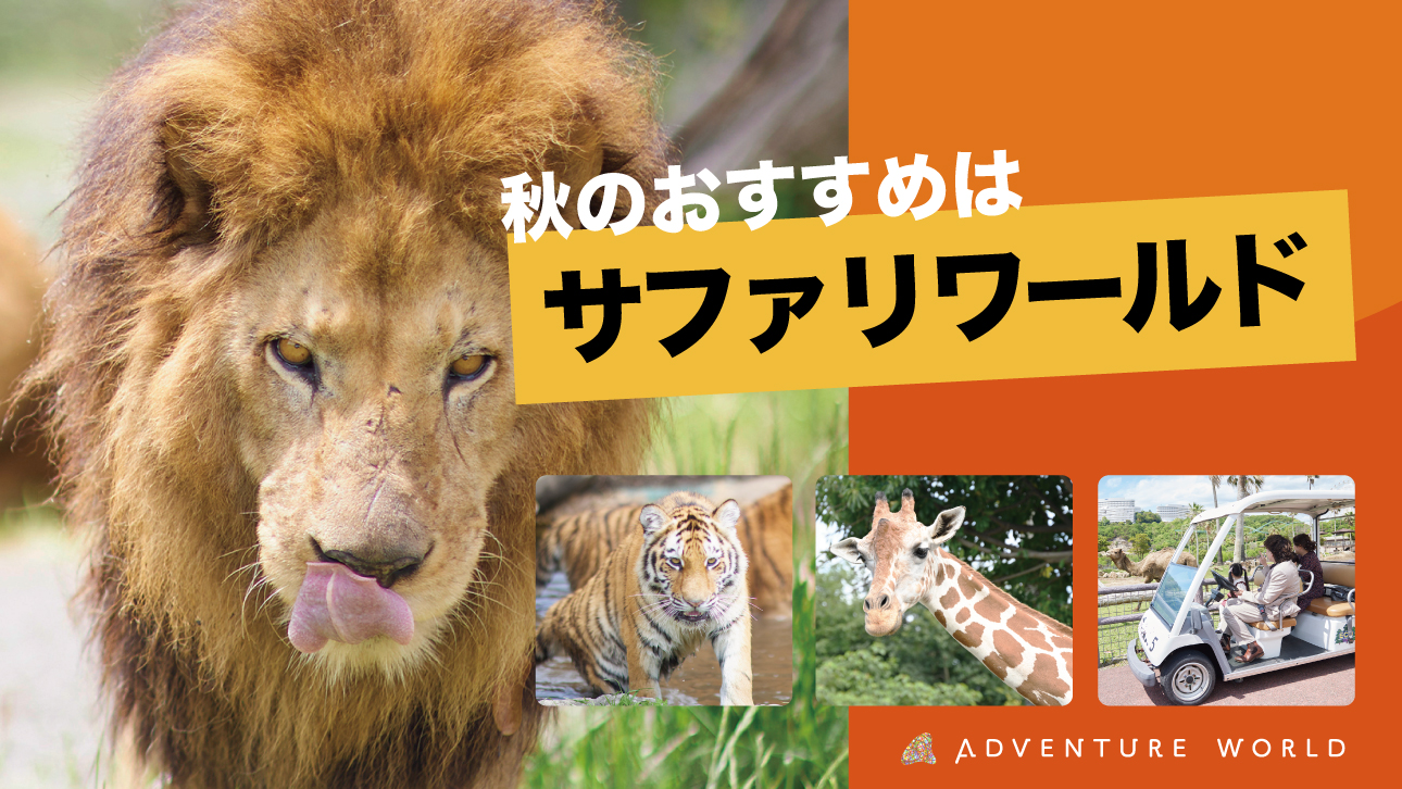 ☆ジャイアントパンダ「良浜」24歳の誕生日記念グッズ販売☆】 「良浜