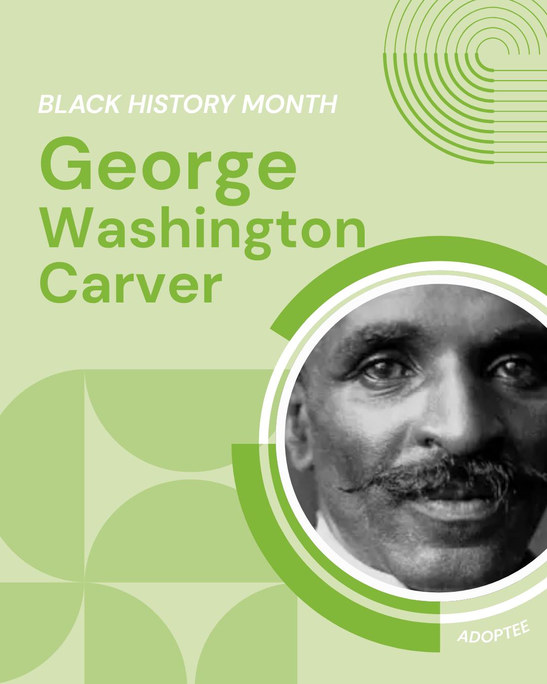 Beginnings - George Washington Carver, the pioneering scientist ...