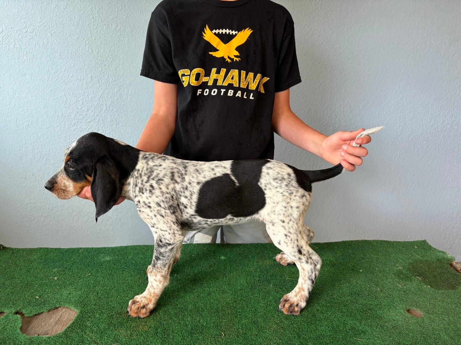 2025 Kraken Pup Hunt winner Whatz Kraken Rip