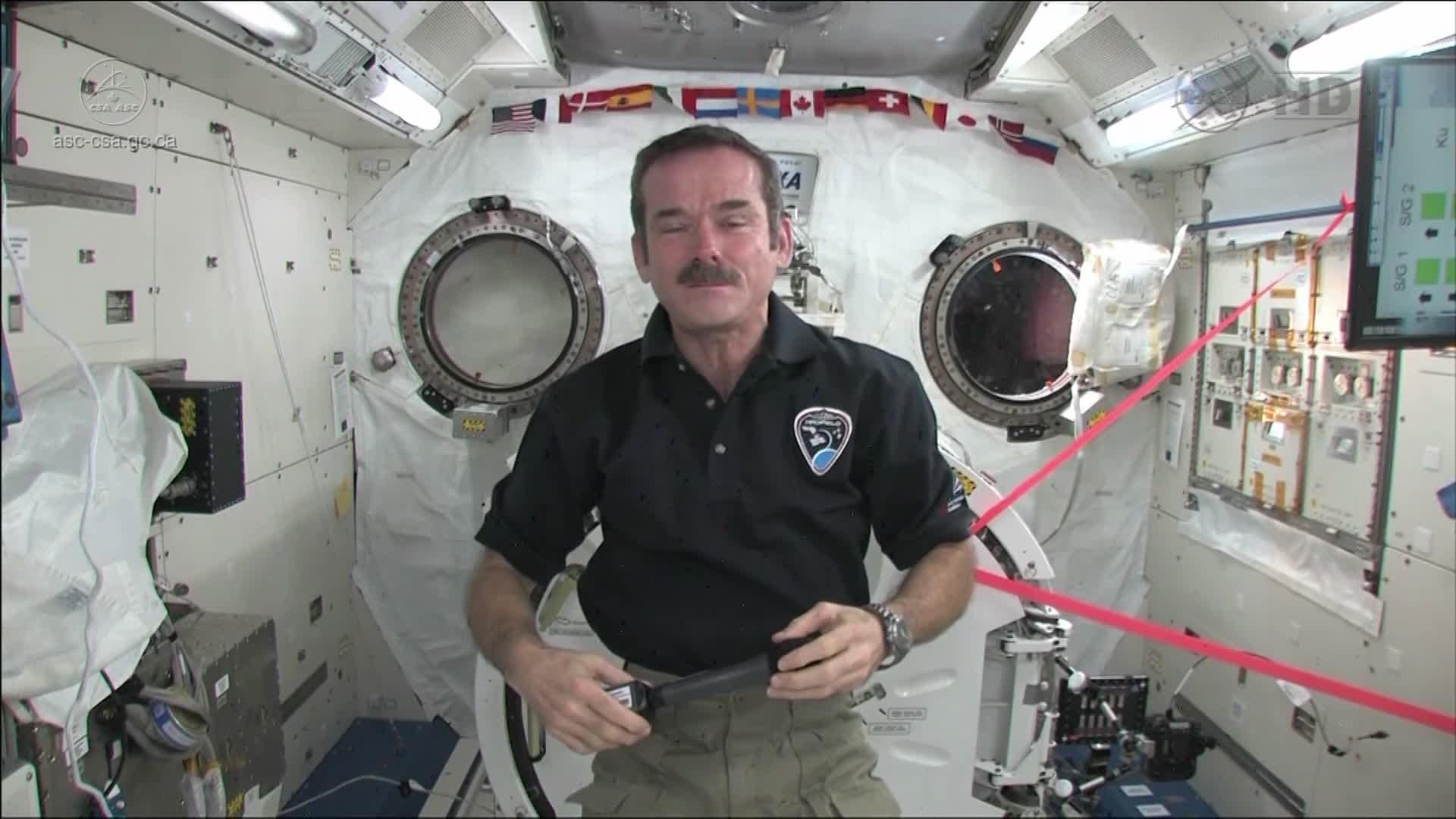 Chris Hadfield Wife