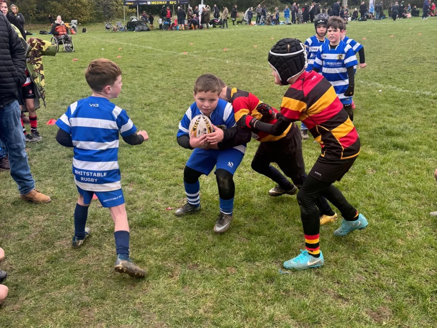 Whitstable Rugby Football Club - Mini & Junior Section