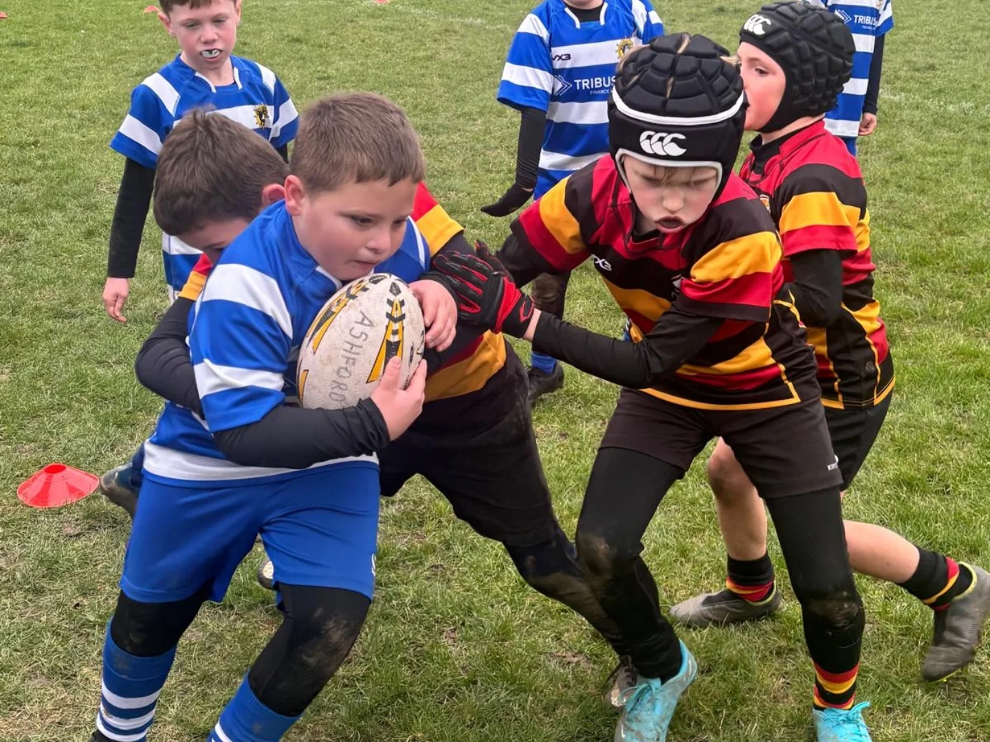 Whitstable Rugby Football Club - Mini & Junior Section