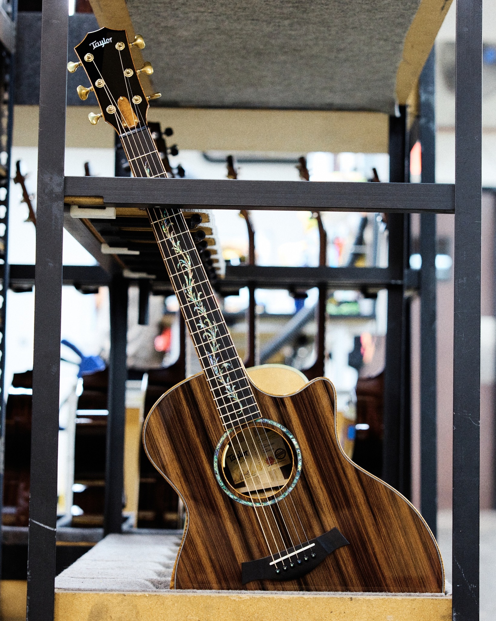 Taylor Guitars - Taylor Guitars added a new photo.