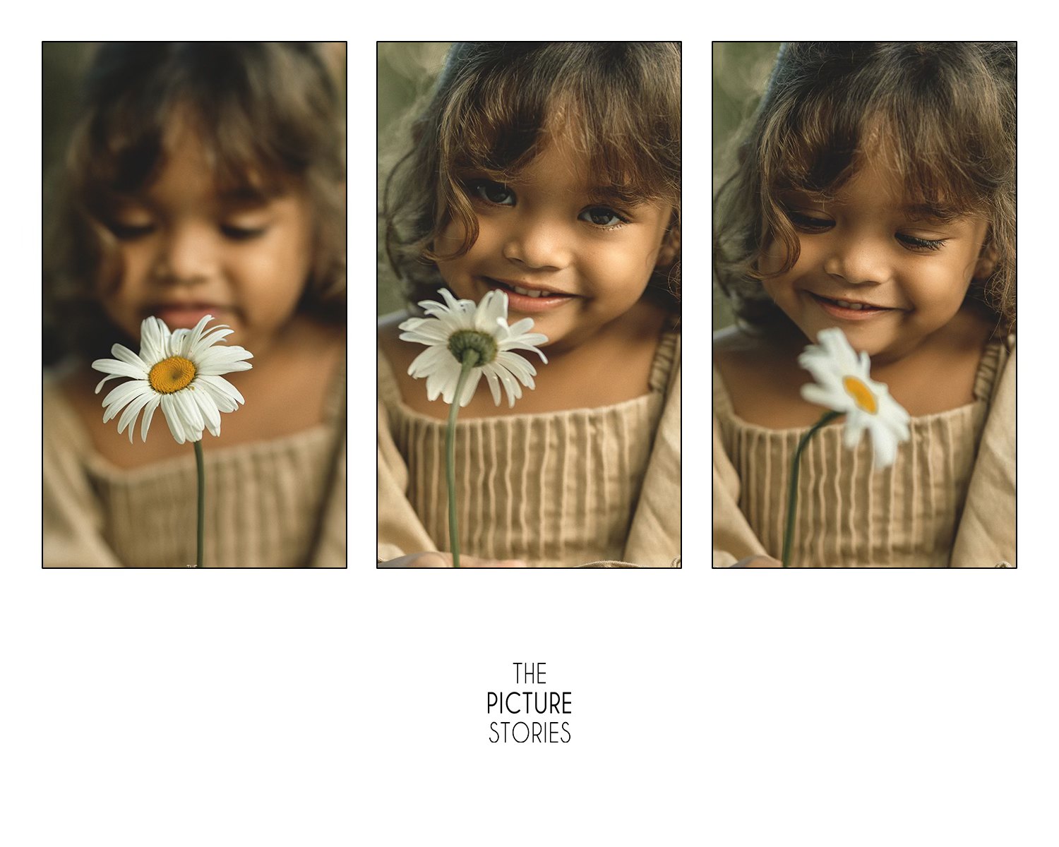 The Picture Stories