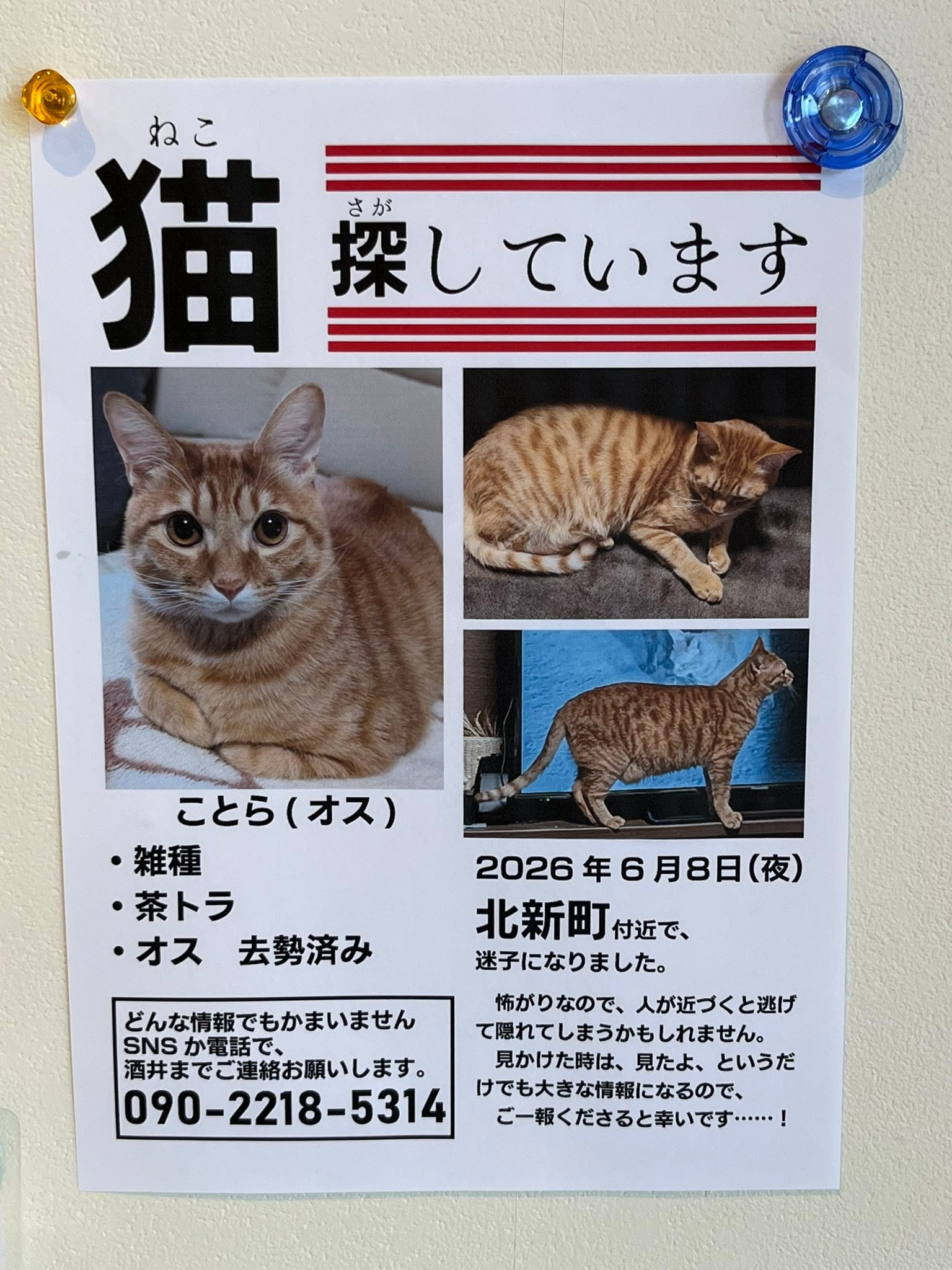 こんにちは‼️ お菓子屋 豆畑です〜‼️‼️‼️ 今日は…なんと