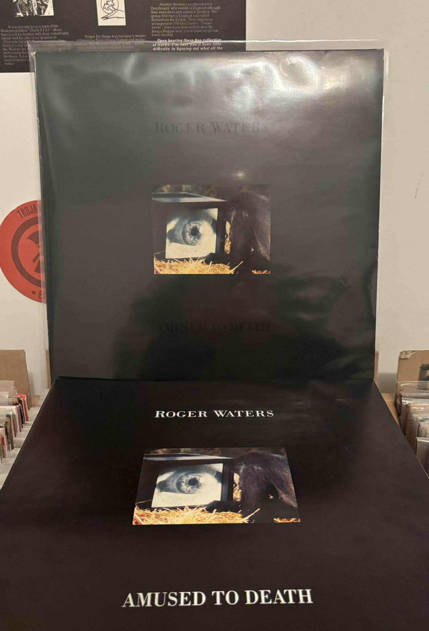 29° anniversario Roger Waters 