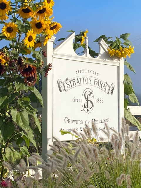 Historic Stratton Farm