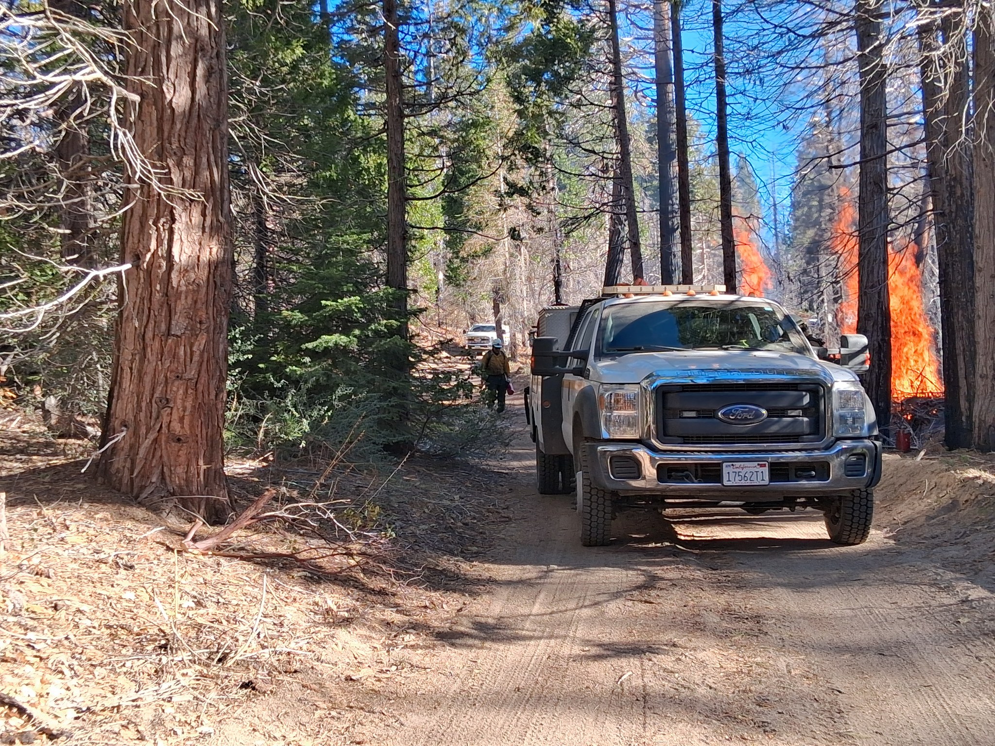 Dialed-in... - Firestorm Wildland Fire Suppression Inc. | Facebook