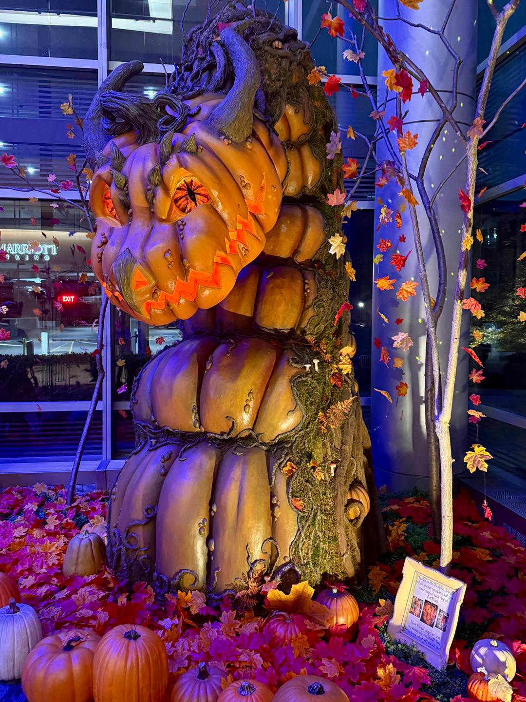 Pumpkin dragon garden at JW Marriott (ArtPrize 2026)