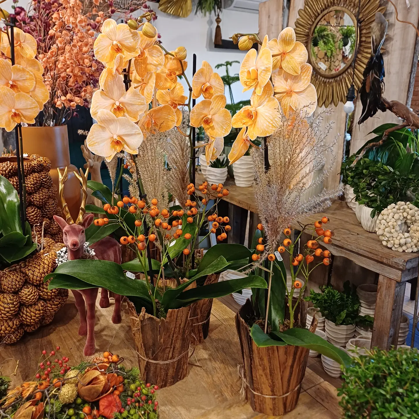 🍂Wir haben heute ganz neue mega schöne Lieblingsstücke für euch dekoriert. Tolle Gefäße, Orchideen in ganz besonderer Farbe, kleinen liebevoll gestaltete Kränzchen und vieles mehr🍂 #gefäße#deko#orchid