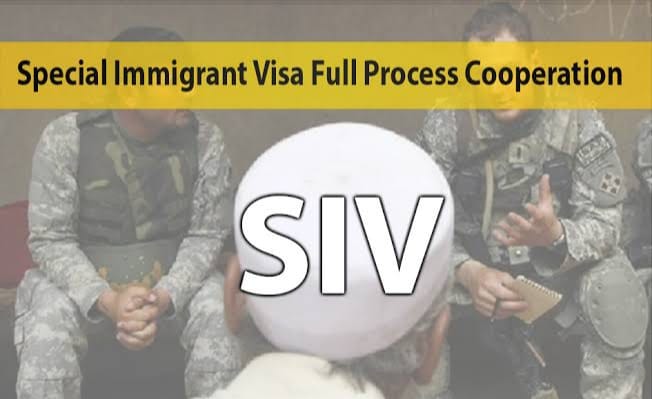 SIV Consultancy: چگونه برای... - MAKA Immigration Services