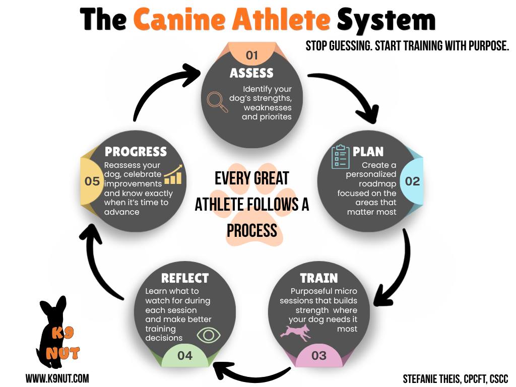 The struggle in multidog households is finding time to train all the ...