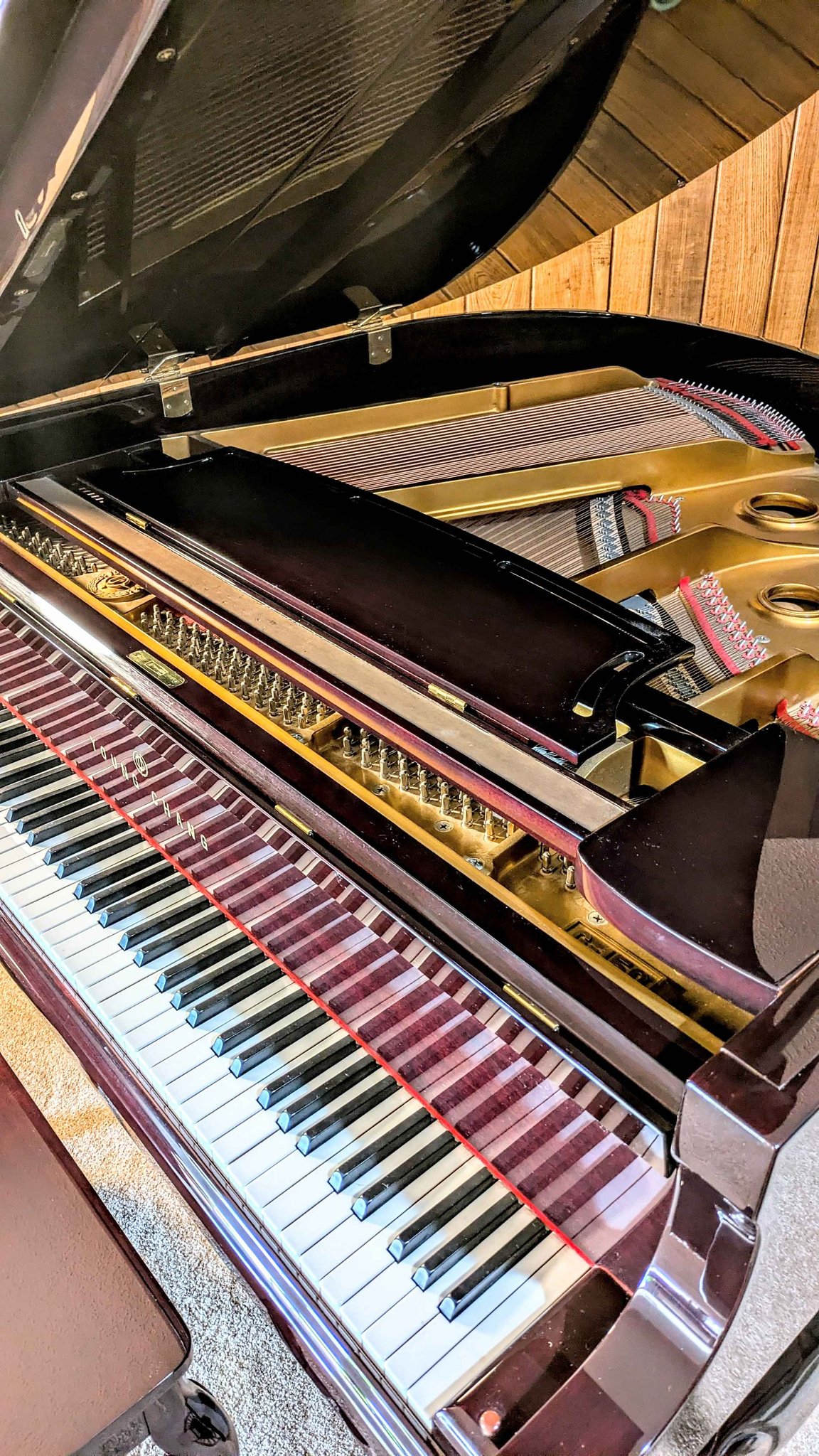Young Chang Baby Grand Piano G-150 – Red Polish – Needs Minor Service ...