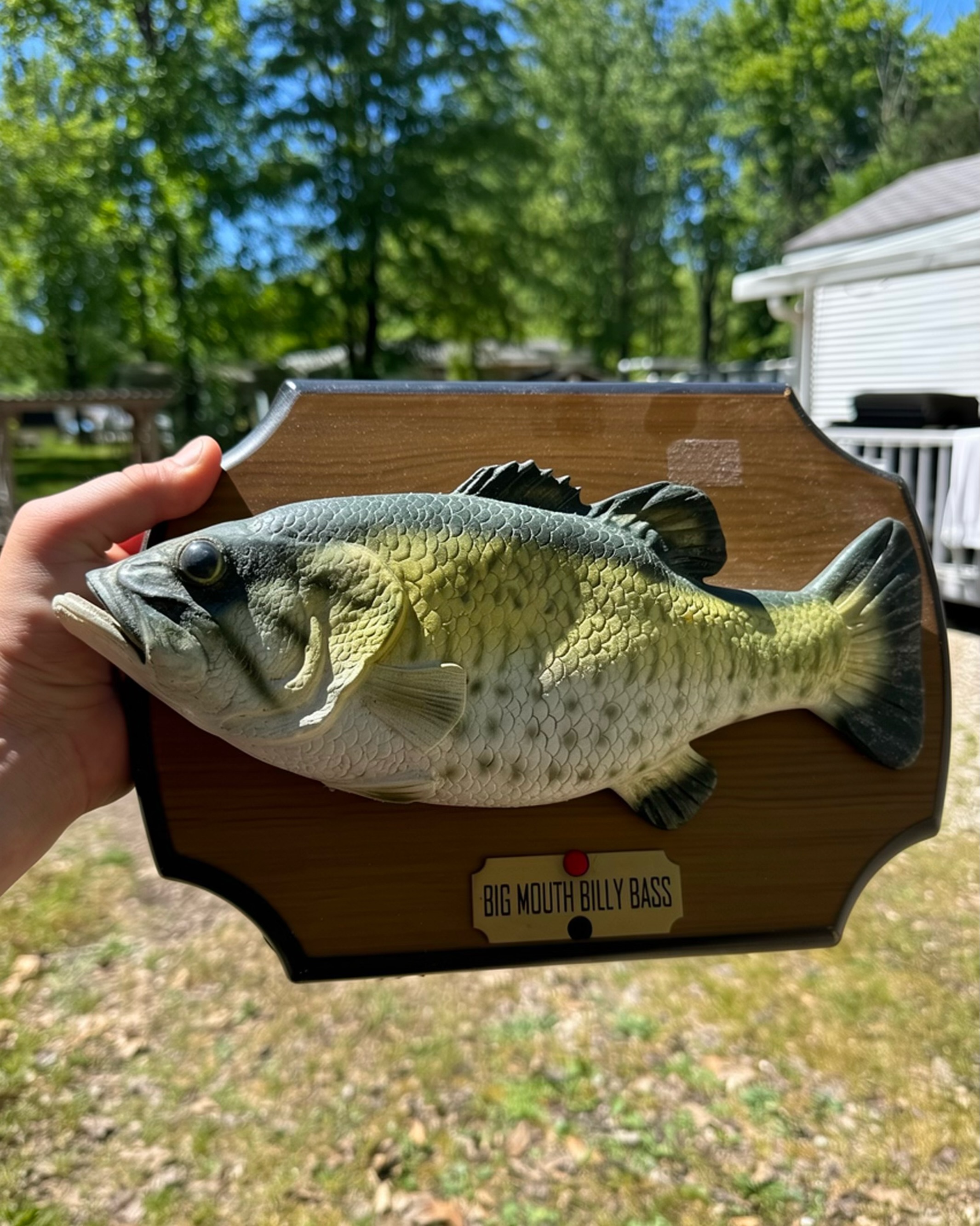 🎣 Remember when every house, office, hunting camp, and uncle's
