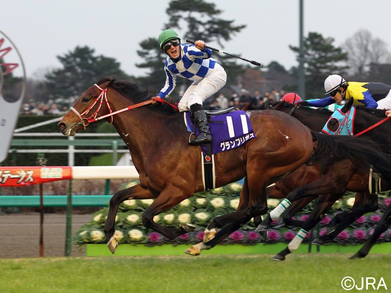 JRA（日本中央競馬会） - 2010年第62回朝日杯フューチュリティ 