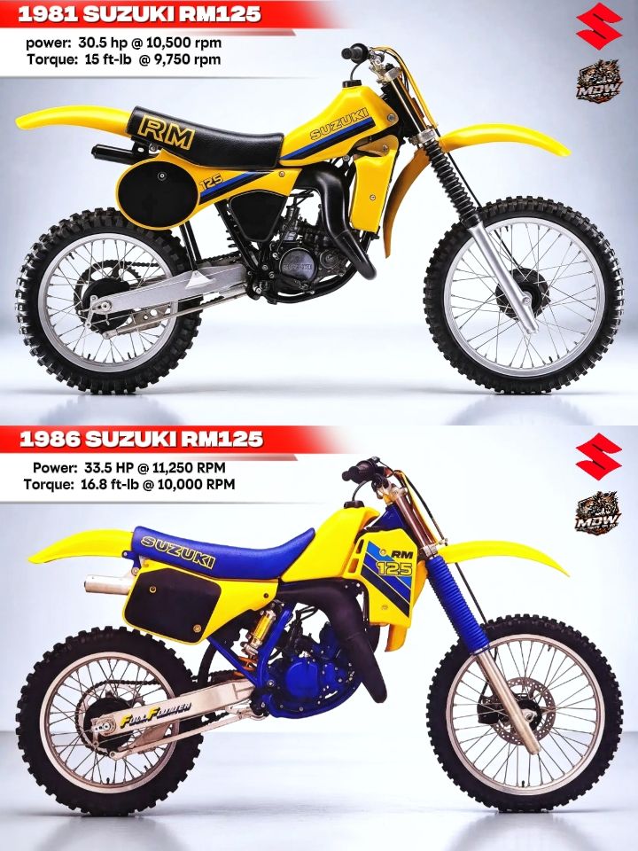 Mdw - Same Look, Different Power! 1972 TM250 vs. 1973 TM125 ⚡ Don