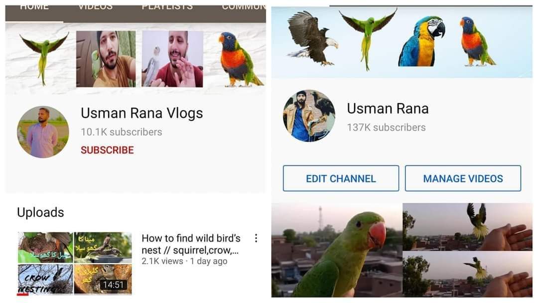 usman-rana