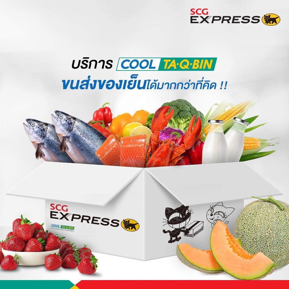 ขนส่งของเย็นได้มากกว่าคิด... - Scg Express สาขา SKLH | Facebook