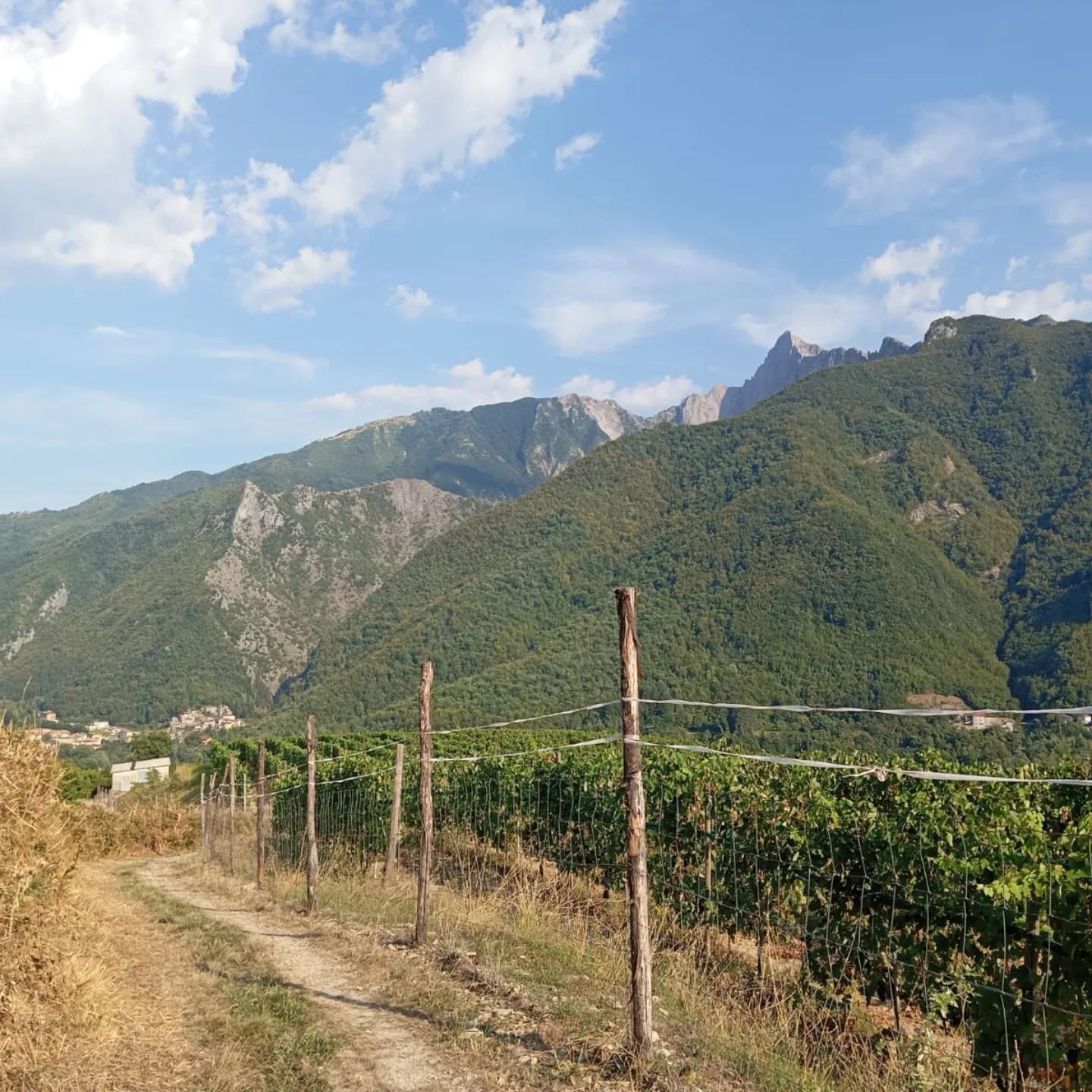 La Centaurea - Guide Turistiche, Ambientali e del Parco delle Alpi ...