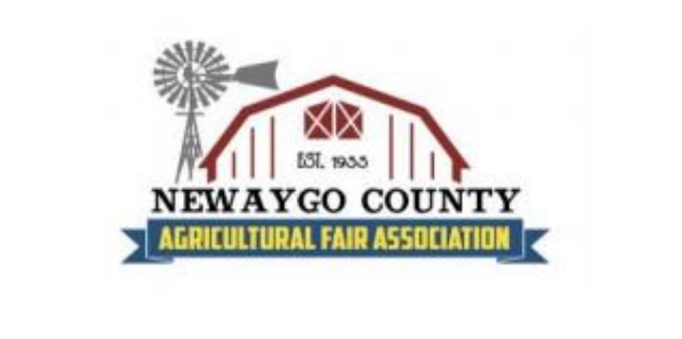 Newaygo County Fair Sheep | Fremont MI