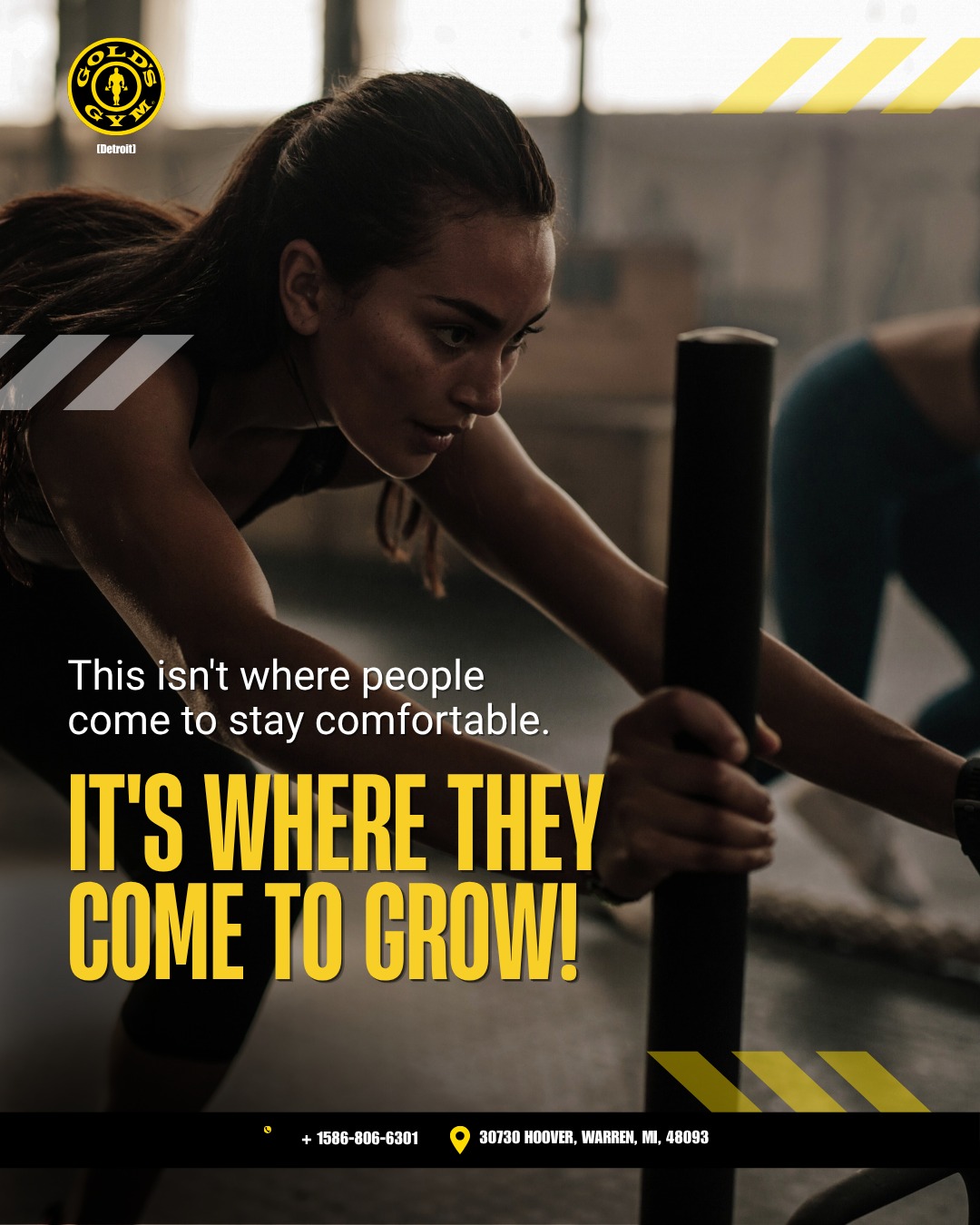 Gold's Gym - Gold's Gym added a new photo.