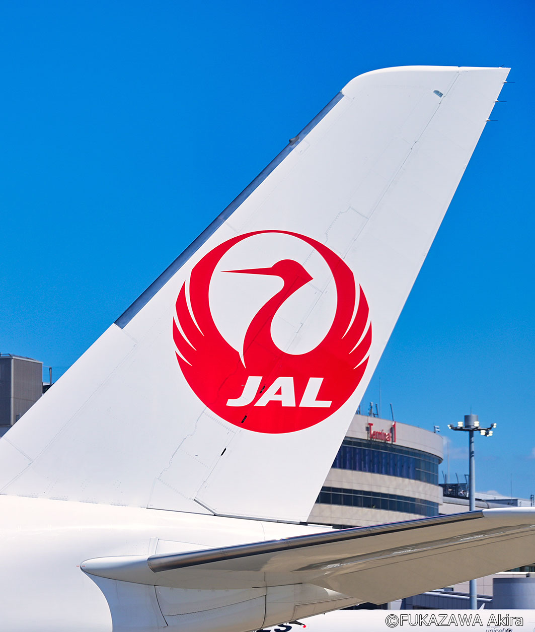 JAPAN - 特別塗装機「スーパーリゾートエクスプレス」は、1994年6月