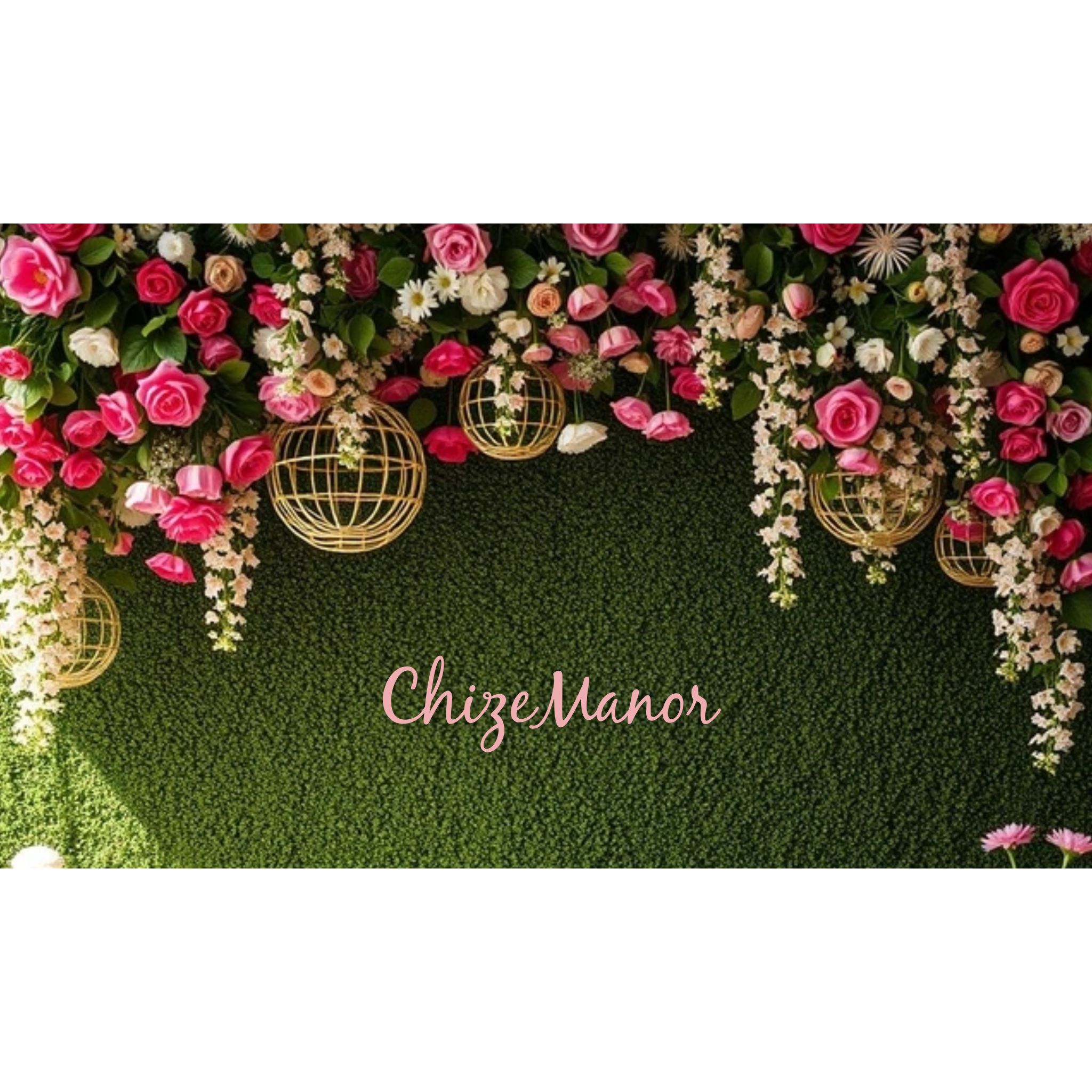 Chize