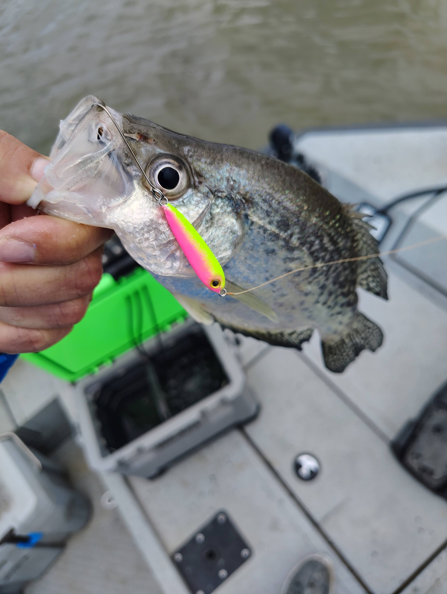 best top water fishing lures Personal Floating Glide Baits – White Outfitters jurassic park When the bait twists Style:182pcs Terminal Tackle Kit 11t micro fishing reel
