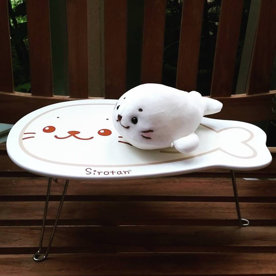 しろたんの上に#しろたん #マザーガーデン#ミニミニマルシェ #しろたん 