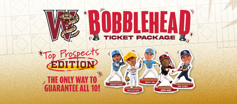 Wisconsin Timber Rattlers | Appleton WI